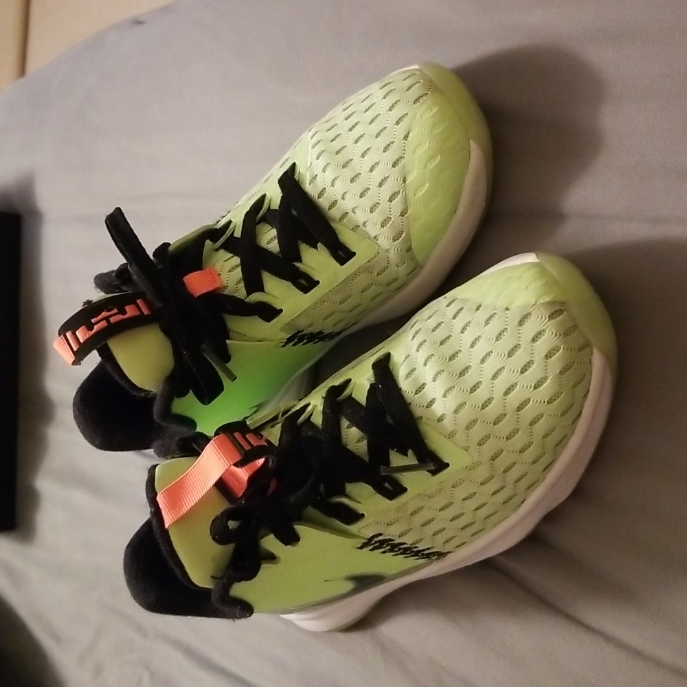 Nike Lebron Witness V